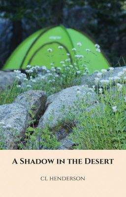 A Shadow in the Desert