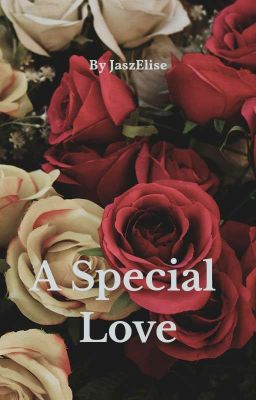 A Special Love ( A Gay Erotic Valentine's Day Story)