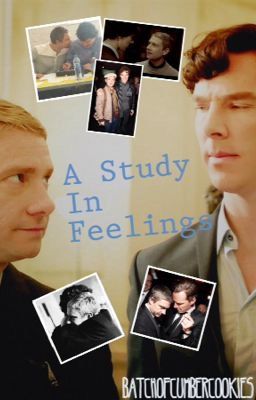 A Study In Feelings: A Johnlock Fanfiction