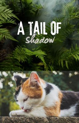 A Tail of Shadow