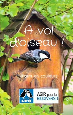 A vol d'oiseau