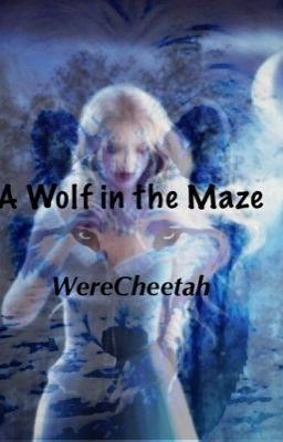 A wolf in the maze (a maze runner fanfic) {ON HOLD}