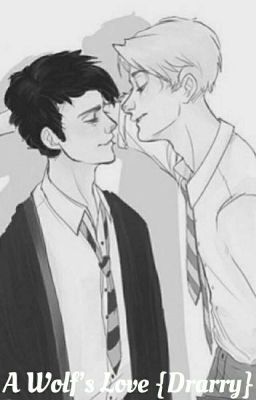 A Wolf's Love {Drarry}