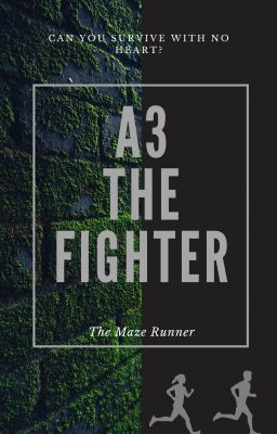 A3 The Fighter - a Maze Runner FF