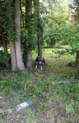 Aaron X Reader (garmau) (Luarence X Oc) I can't love you...