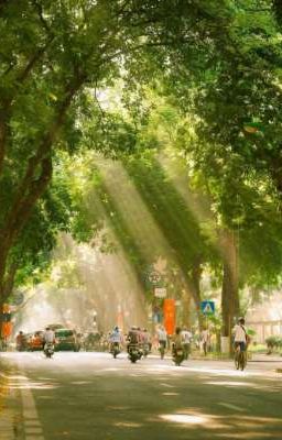 [ABO] Mưa Rồi, Chúng Ta Về Nhà Thôi