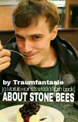 About stone bees [a Marble Hornets Fan Book] (Español.)