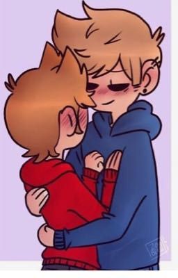 ✨ accidental meeting✨ ~TomTord 