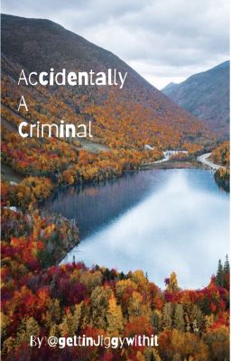 Accidentally a Criminal