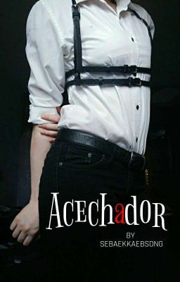 Acechador ── JinTae OS