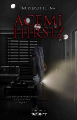 Acemi Hırsız