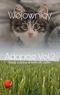 🌩️Adopcje🌩️Vol.2