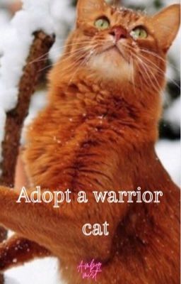 Adopt a warrior cat