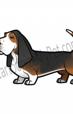 ADOPT MY PETS! (OPEN)