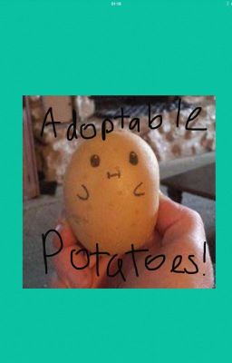 Adoptable Potatoes 030