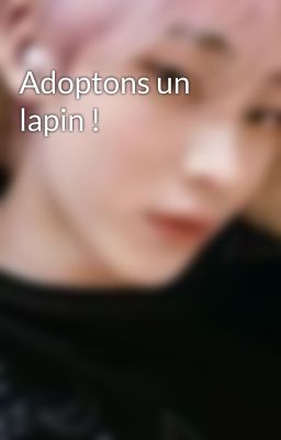 Adoptons un lapin !