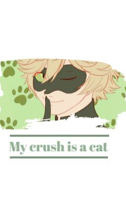 Adrien/Chat Noir x Reader {UNIVERS ALTERNATIF}