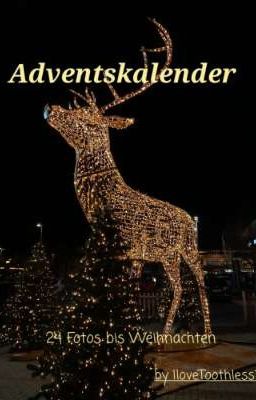 Adventskalender - 24 Fotos bis Weihnachten 🎄