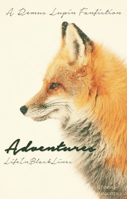 Adventures 》A Remus Lupin Fanfiction《