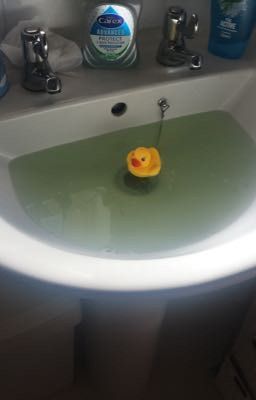 Adventures of the rubber ducks. 