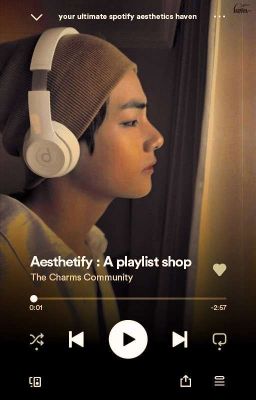 ⪩✶﹐AESTHETIFY﹕✶⪨ A Spotify Playlist Shop