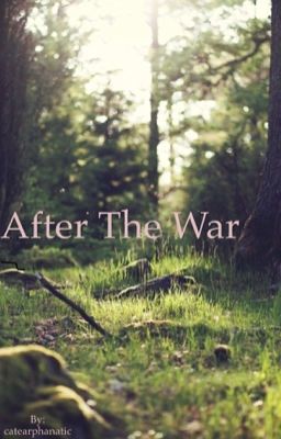 After The War