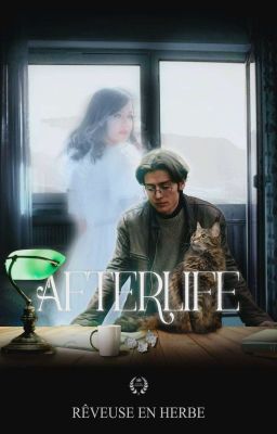 Afterlife