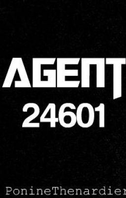 Agent 24601 (a les miserables fanfiction) -on hold