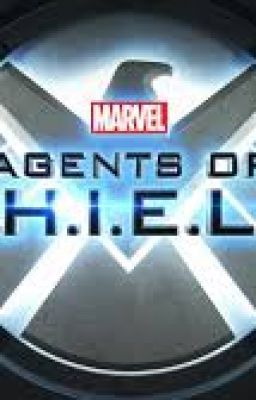 Agents Of S.H.I.E.L.D (Roleplay)