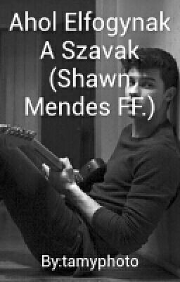 Ahol Elfogynak A Szavak (Shawn Mendes FF.)