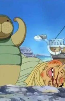 Ai Cũng Đòi Bú Vú(One Piece )