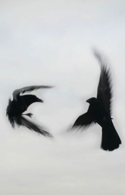 aidentho '*•.¸ run with me