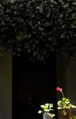 [AidenXiyi] Vòng lặp Mobius