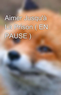 Aimer Jusqu'à La Prison ( EN PAUSE )