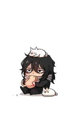 Aizawa×oc