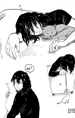 Aizawa Shota Oneshots/BNHA