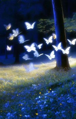 [AKAM] Nửa đời phiêu bạt