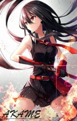 Akame ga kill FF