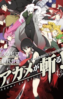 Akame ga kill harem x male reader