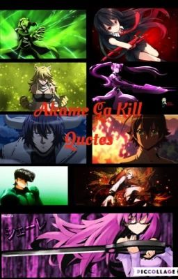 Akame Ga Kill Quotes