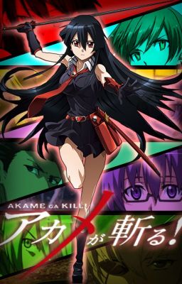 Akame Ga Kill x Male Reader