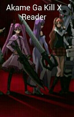 Akame Ga Kill X Reader