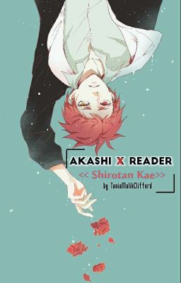 Akashi x Reader : « Shirotan Kae » [Kuroko No Basket]