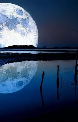 Akuatsu/ABO/Công chúa Kaguya.