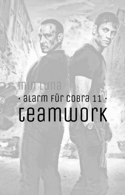 Alarm für Cobra 11 - Team Work