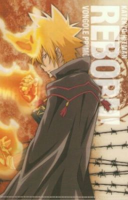 Album ảnh: Vongola Primo - Giotto ( Katekyo Hitman Reborn)