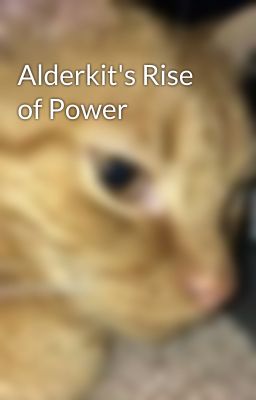 Alderkit's Rise of Power