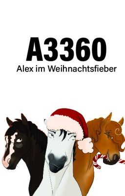 Alex  im Weihnachtsfieber