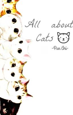 All about cats