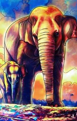 All About Elephants